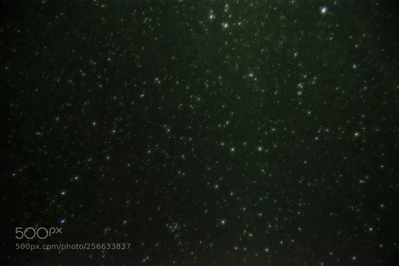 Nikon D5300 sample photo. A canvas of stars photography