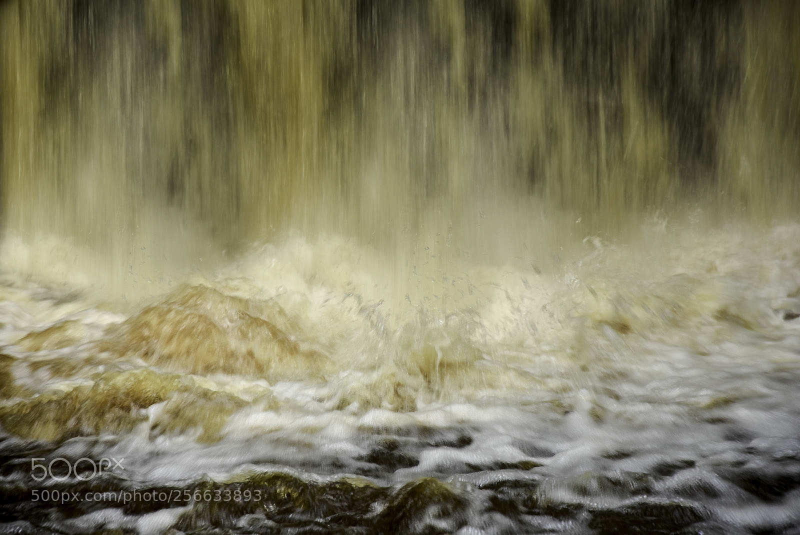 Nikon D7200 sample photo. Base water roughting linn photography