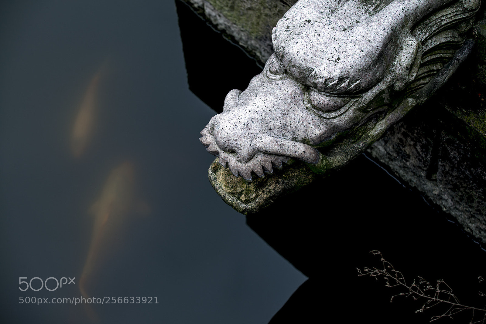 Nikon D800E sample photo. Untitled photography