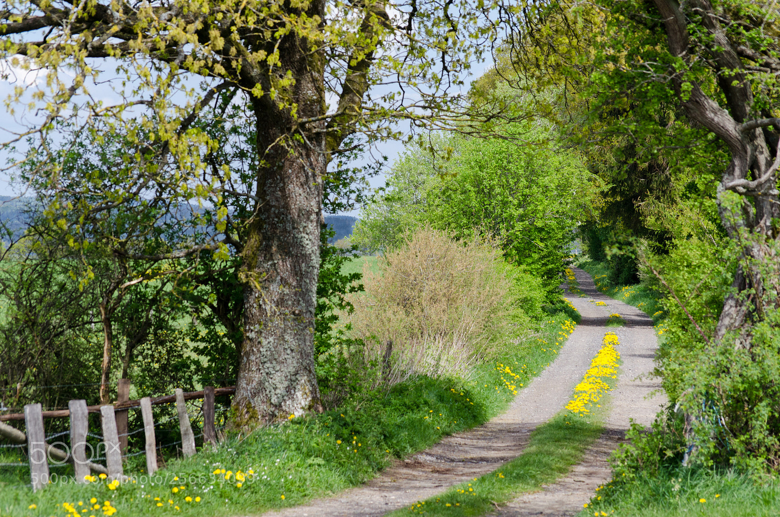 Nikon D7000 sample photo. Road to somewhere photography