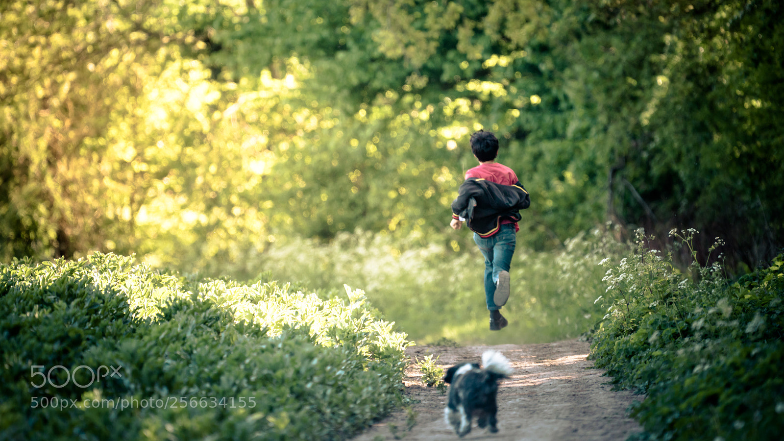 Sony a7R II sample photo. The chase photography