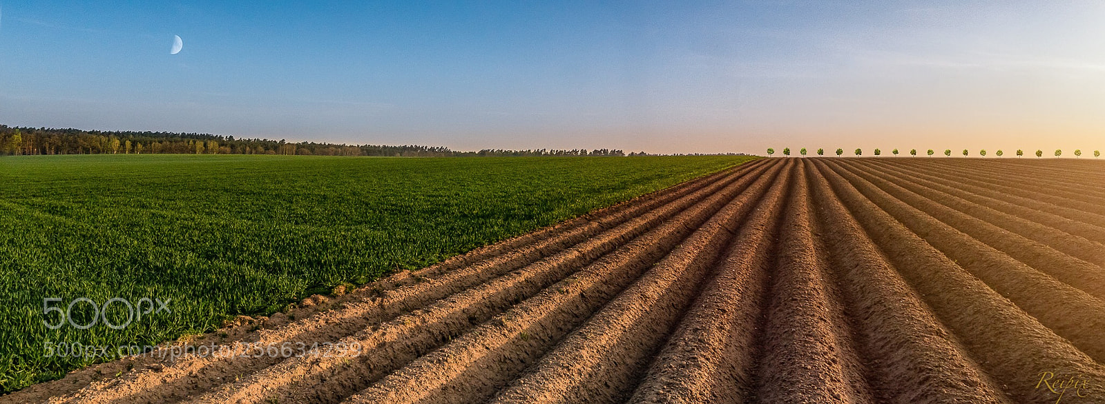 Sony a7R III sample photo. Untitled photography