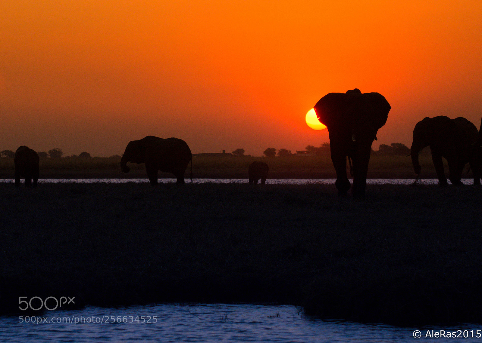 Nikon D7100 sample photo. Sunset emotion on the photography