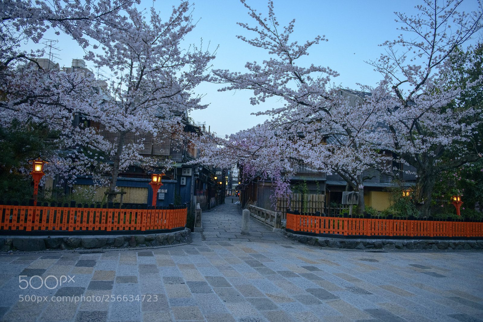 Nikon D850 sample photo. Morning at gion kyoto (祇園, ぎおん) photography