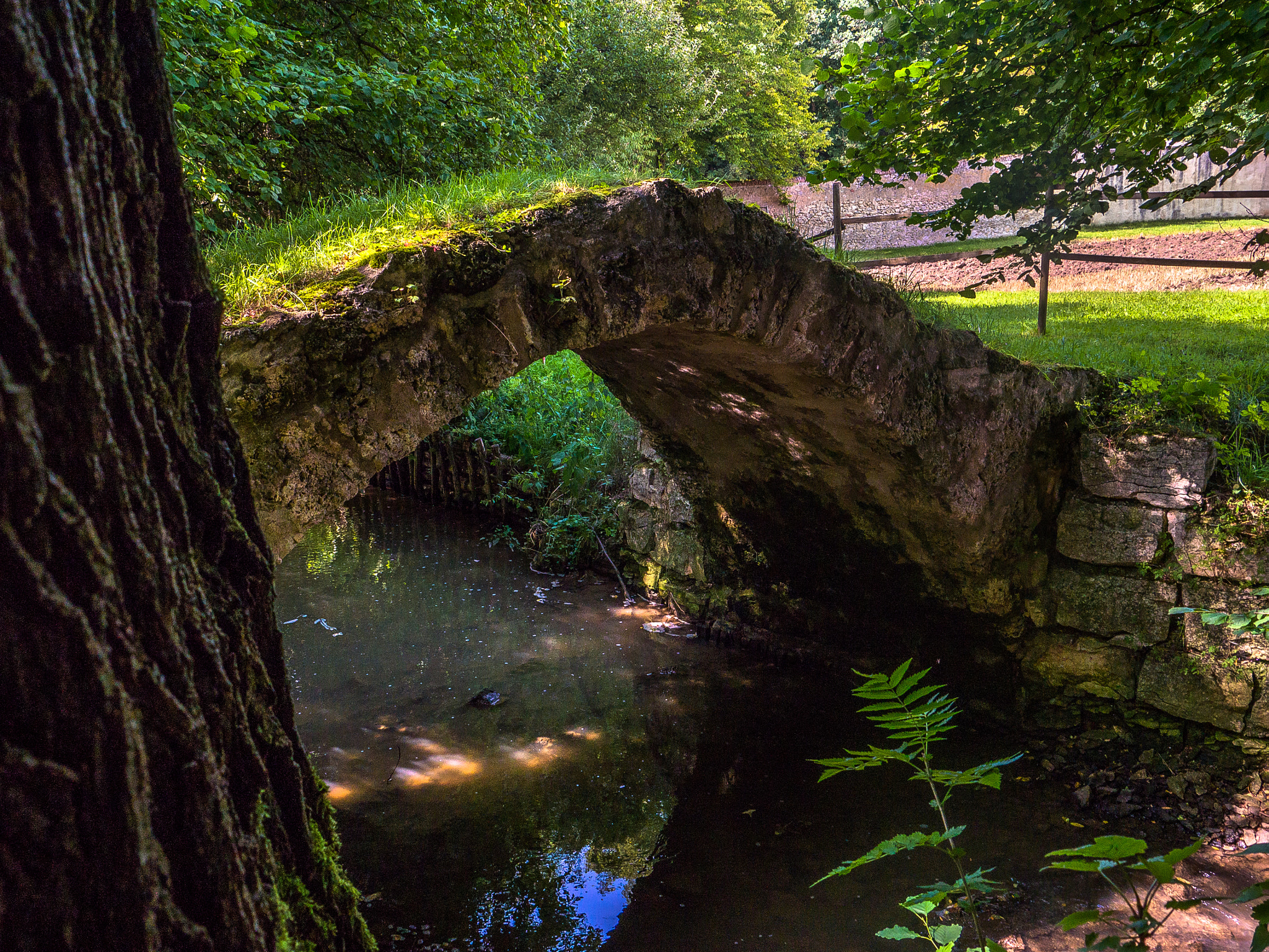 Panasonic Lumix DMC-G5 sample photo. Alte brücke / old bridge photography