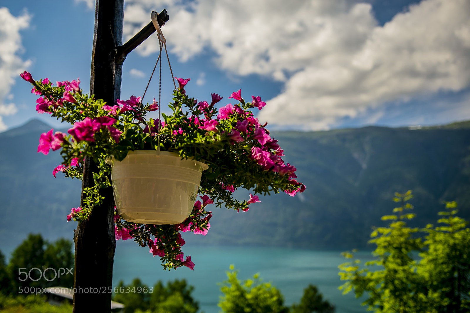 Nikon D5300 sample photo. Peaceful photography