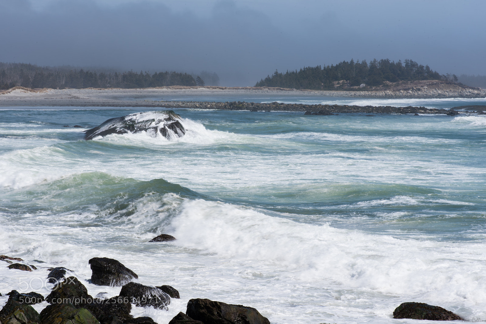 Nikon D750 sample photo. Tor bay photography