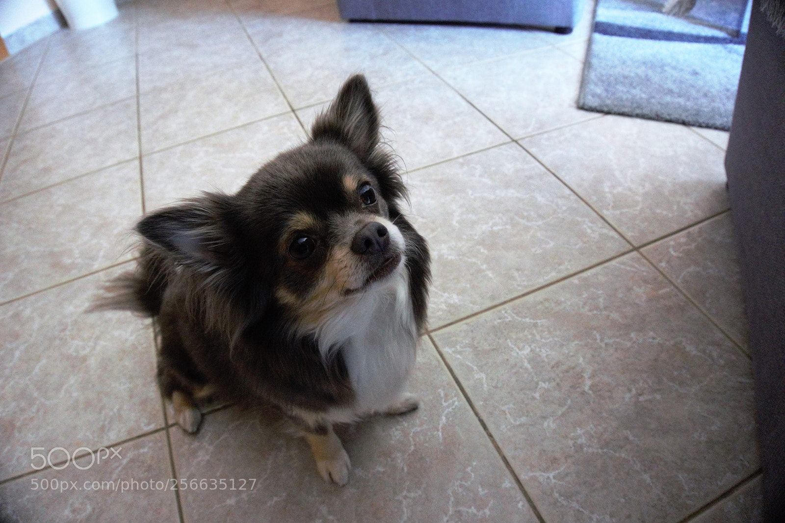 Sony a6000 sample photo. Dsc photography