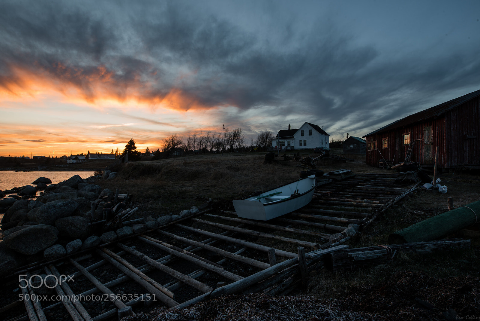 Nikon D750 sample photo. Sunset in charlos cove photography