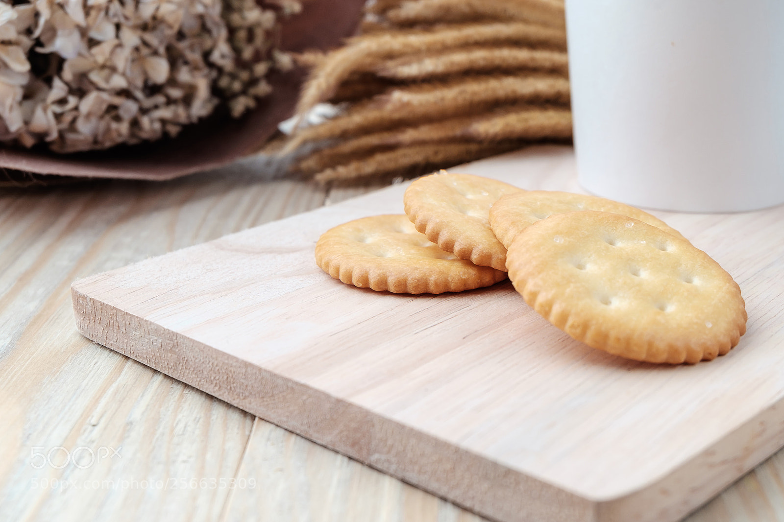 Fujifilm X-T10 sample photo. Cracker on woodden background photography