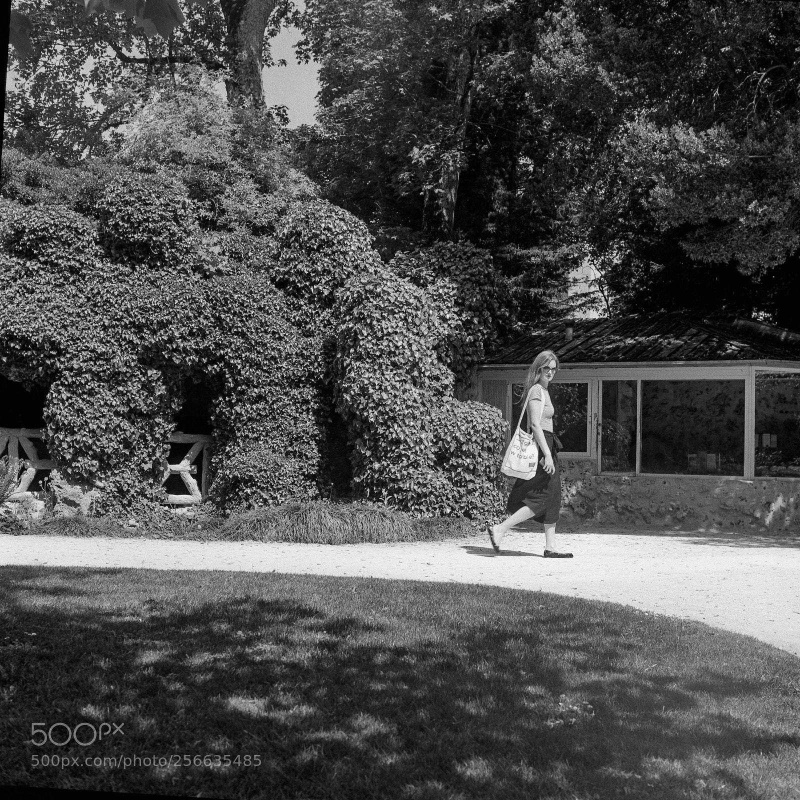Nikon D610 sample photo. In the park photography