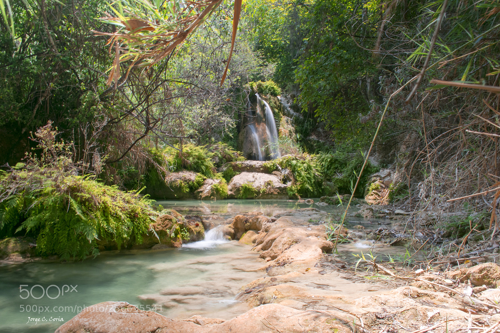 Nikon D3400 sample photo. Rio cascada bosque photography
