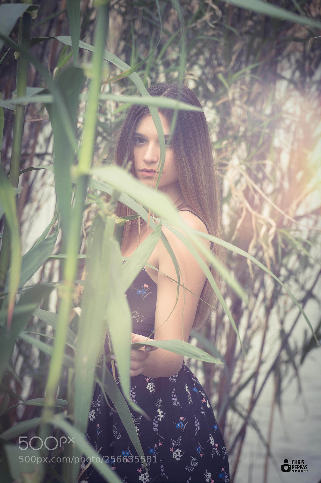 Canon EOS 6D sample photo. Fairy tale photography