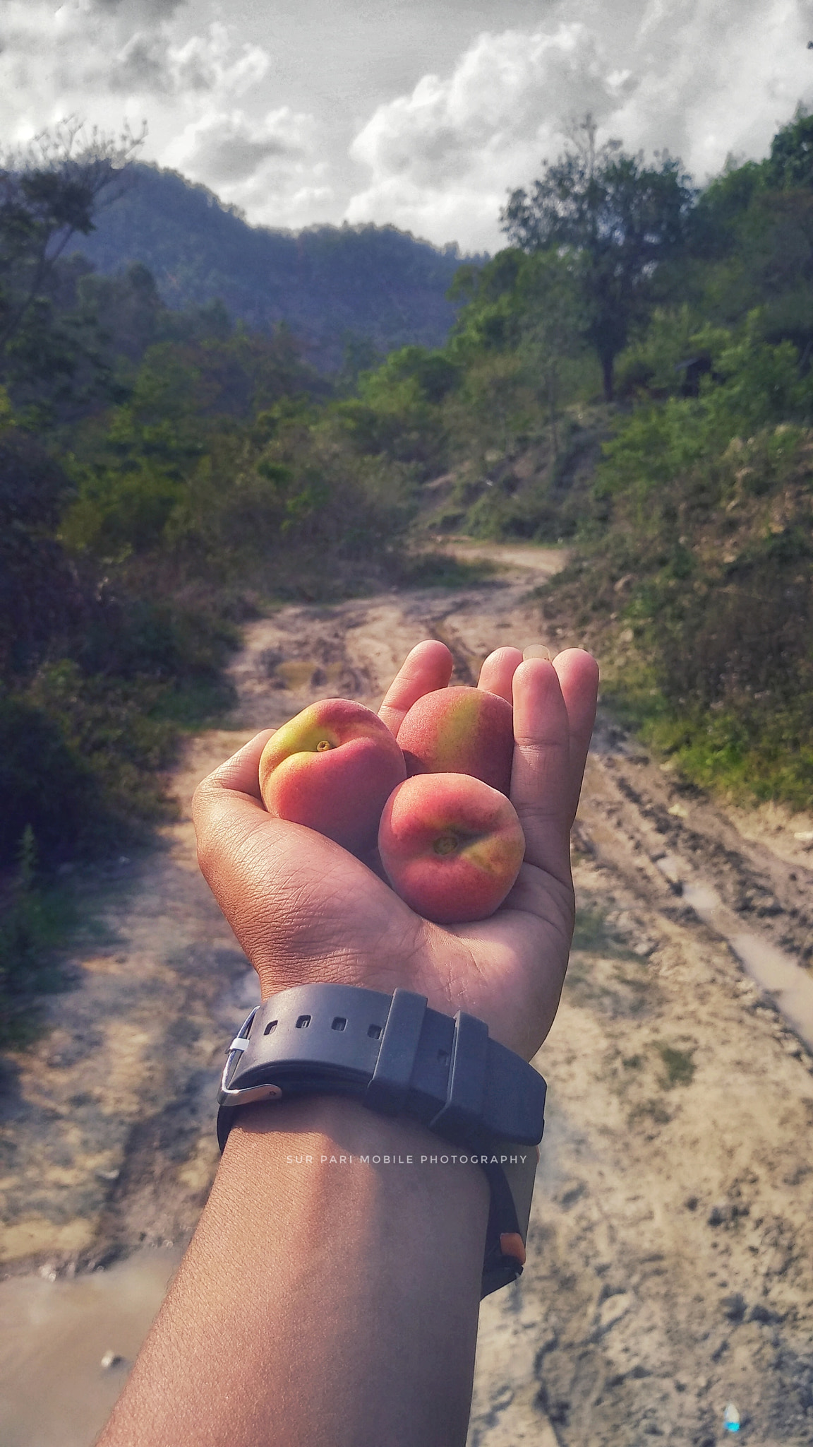 Xiaomi MI MAX 2 sample photo