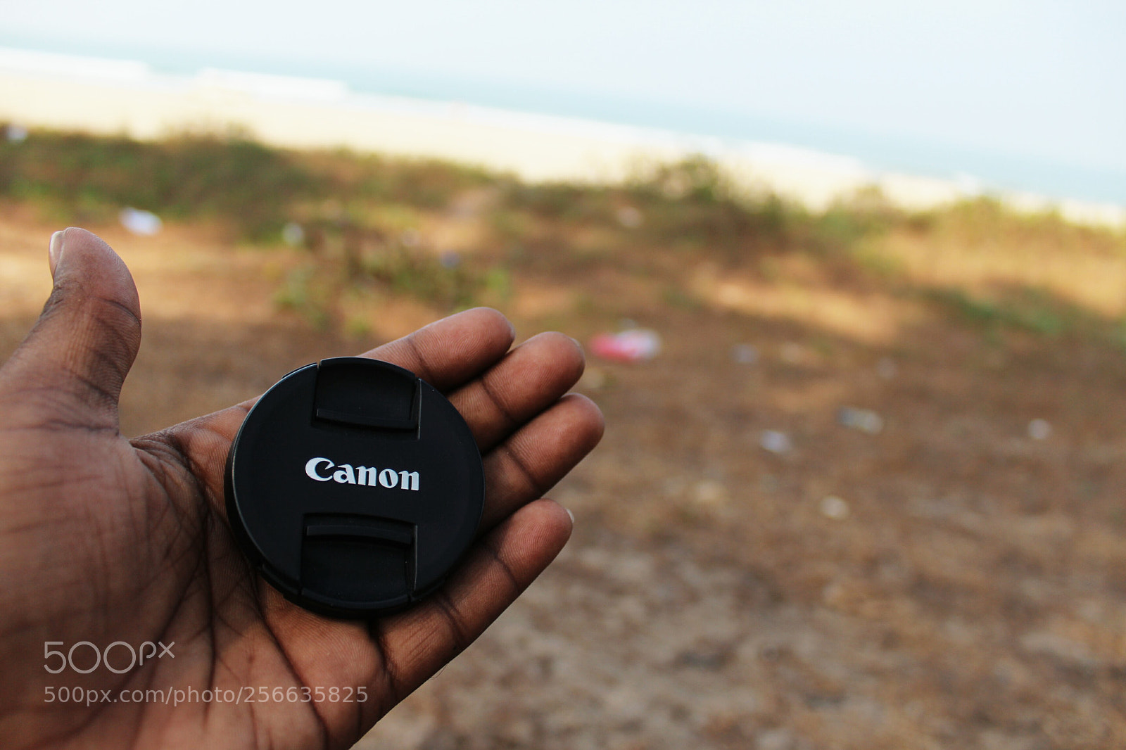 Canon EOS 1200D (EOS Rebel T5 / EOS Kiss X70 / EOS Hi) sample photo. Untitled photography