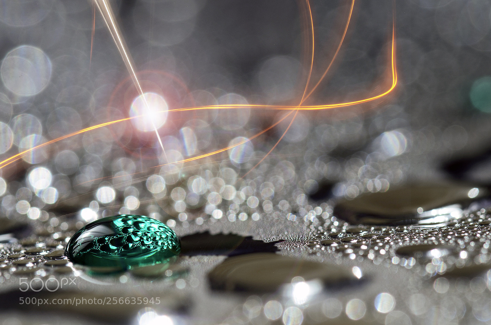 Nikon D7000 sample photo. Droplets effect photography