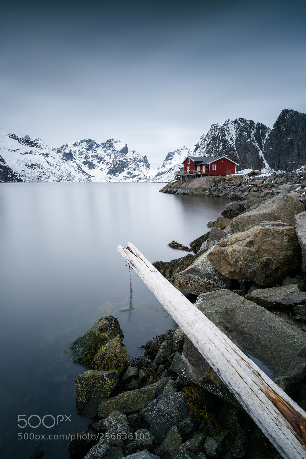 Sony a7R II sample photo. Line of wood photography