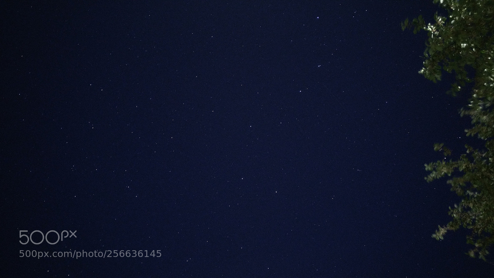OnePlus A3003 sample photo. Night sky photography