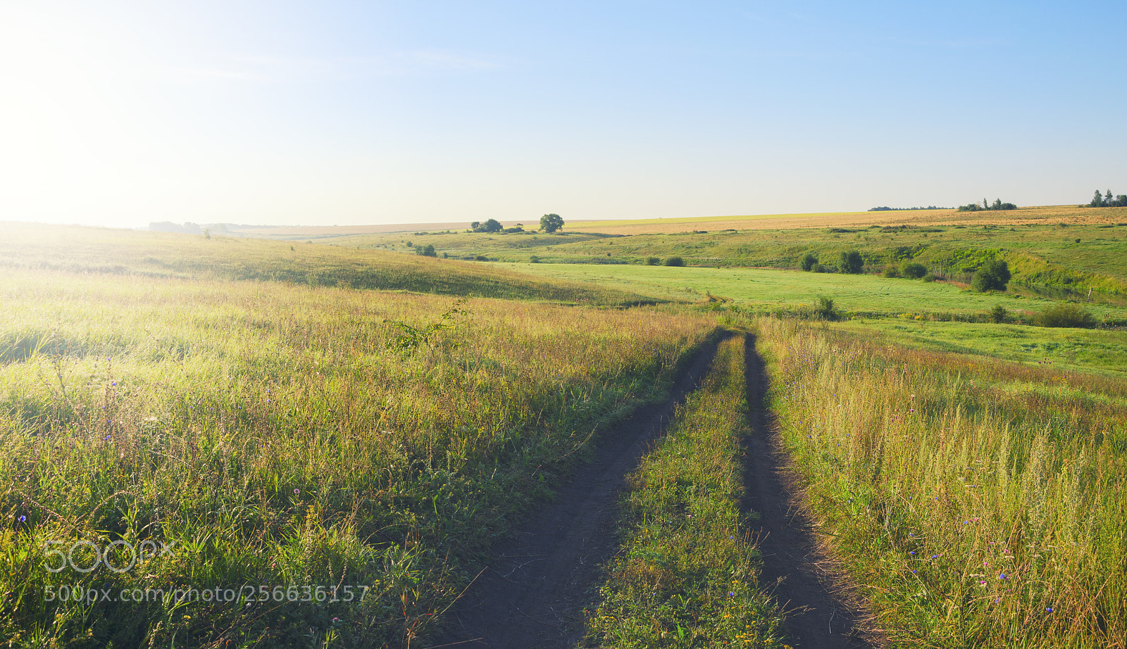 Nikon D5100 sample photo. Sunlit roads photography