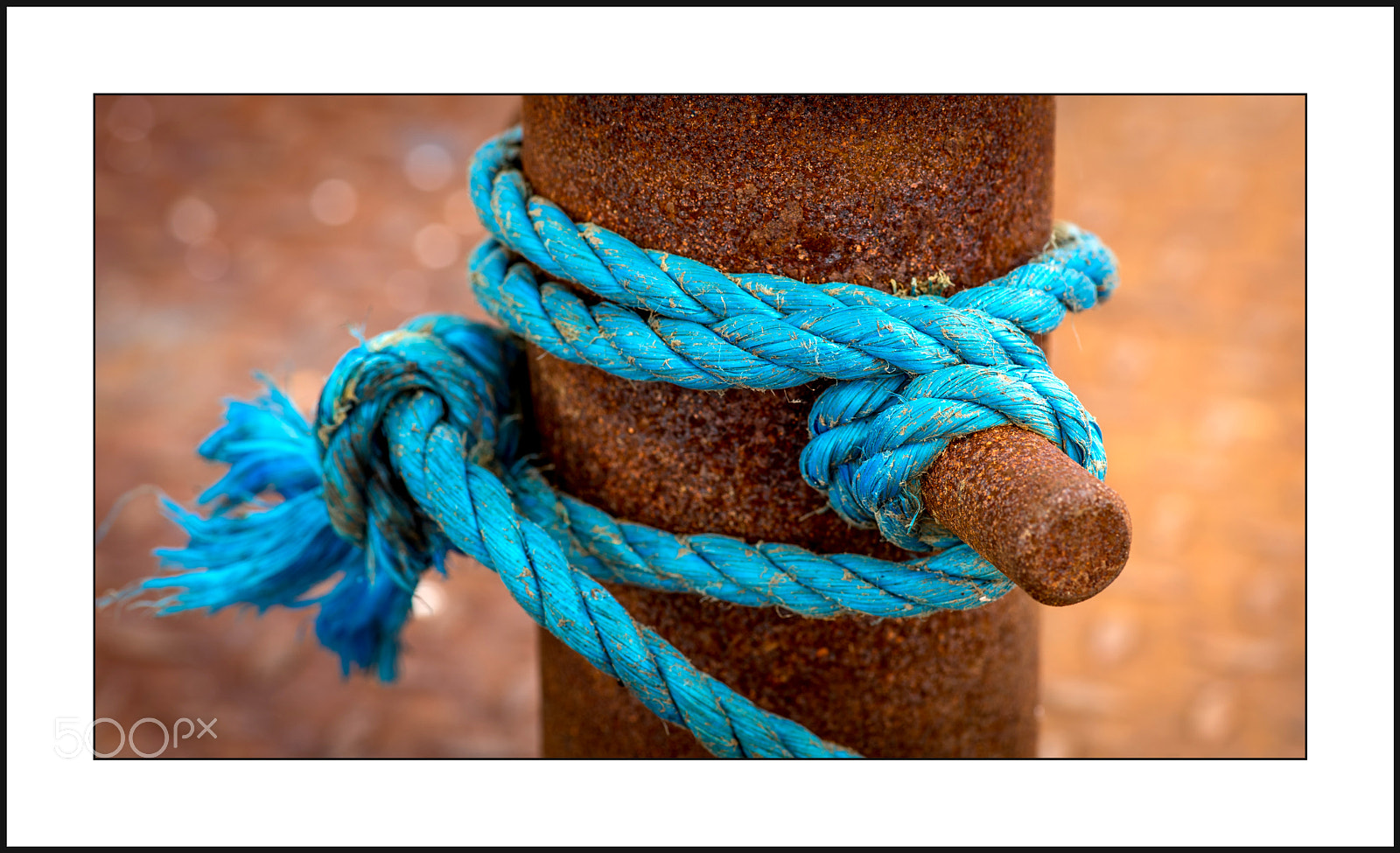 Nikon D750 sample photo. Bondage in blue photography