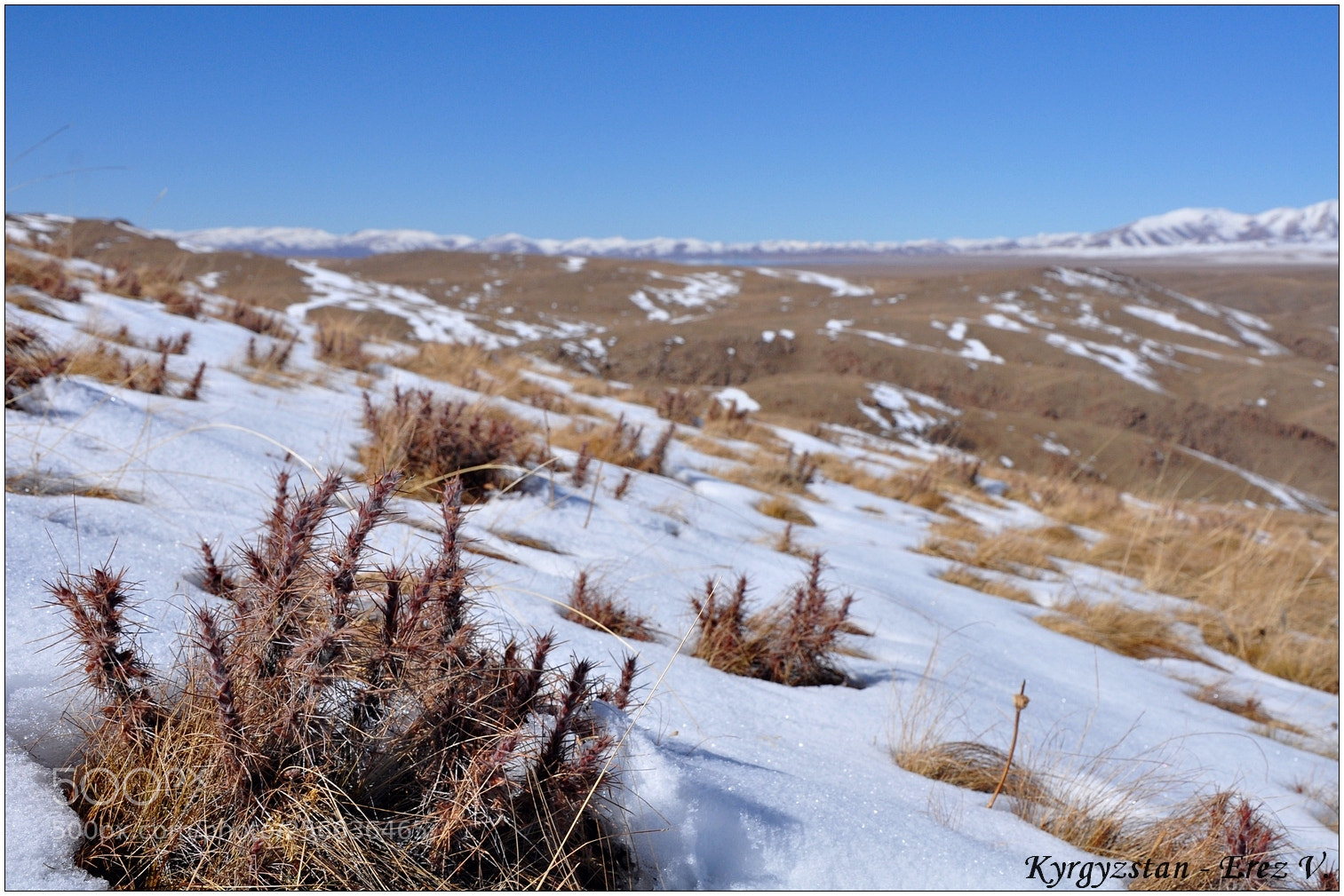 Nikon D90 sample photo. Morning snow photography
