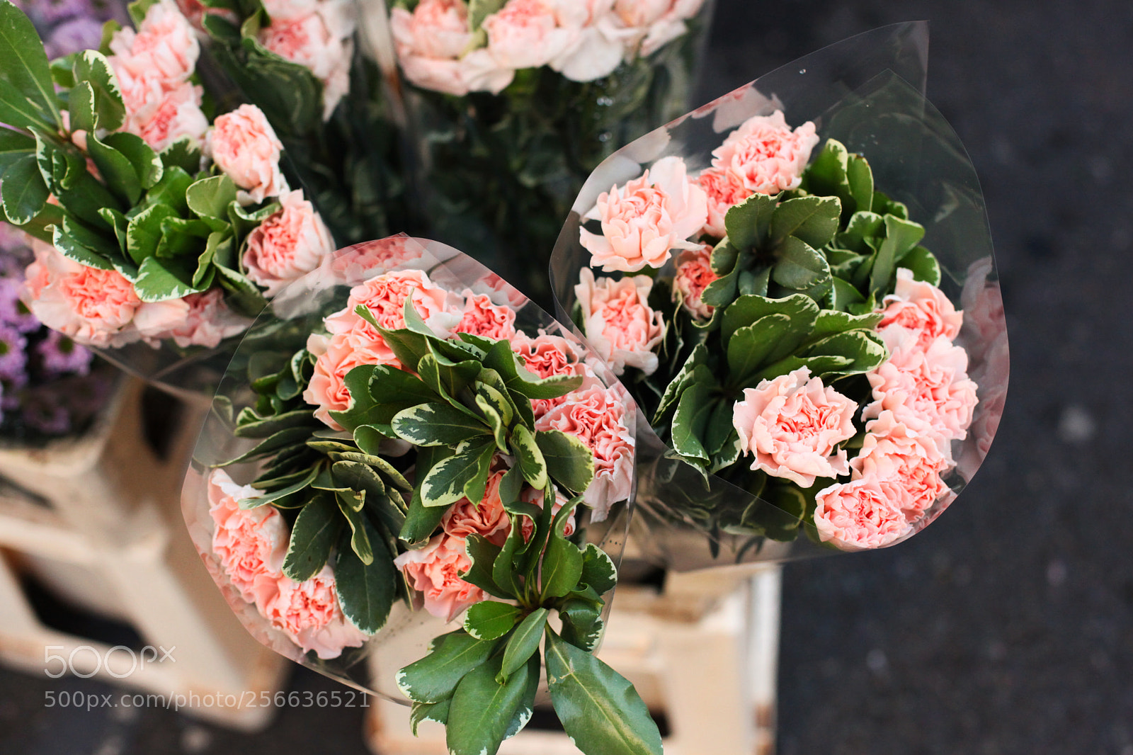 Canon EOS 5D Mark II sample photo. Columbia road flower market photography