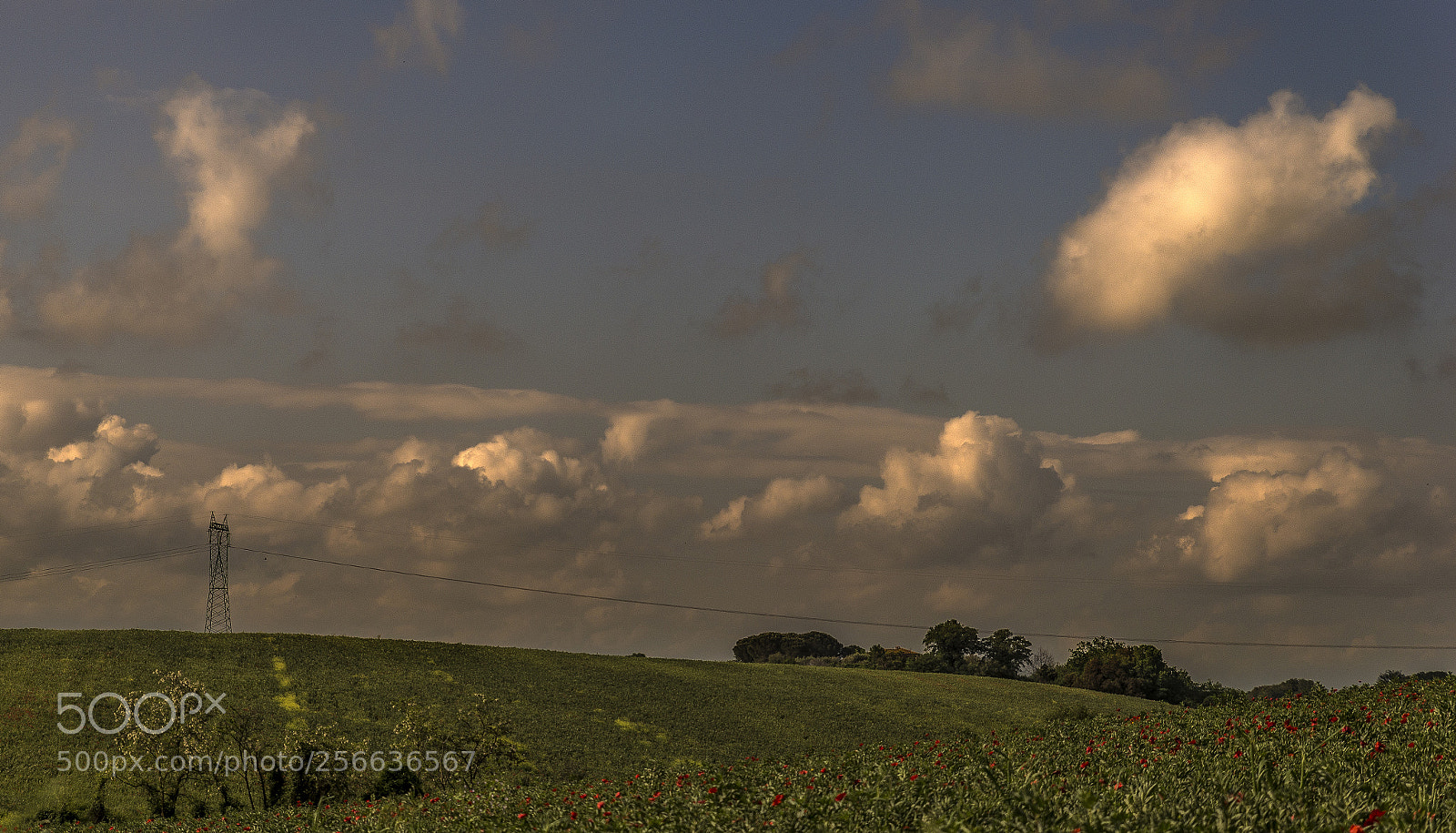 Nikon D610 sample photo. La campagna photography