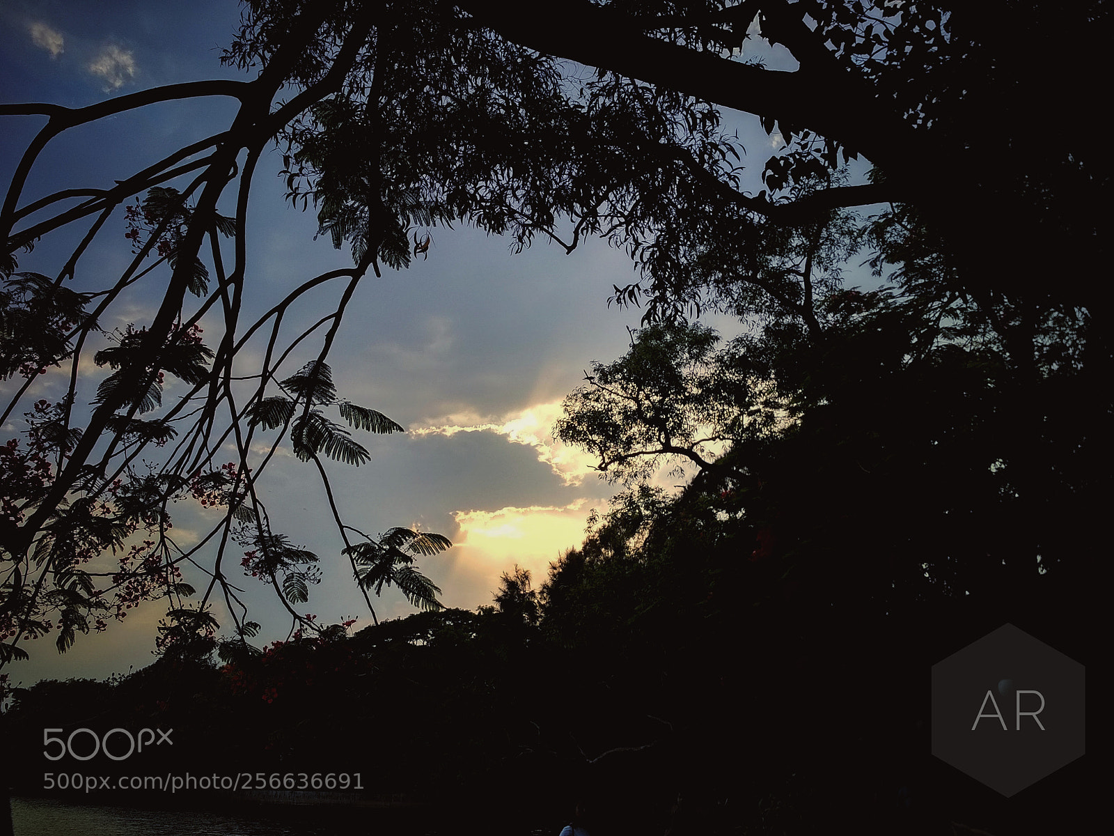 Xiaomi Redmi 4 Pro sample photo. God's rays! photography