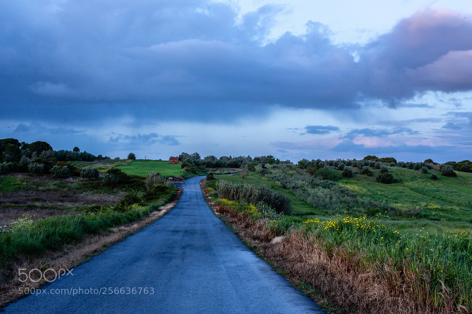 Canon EOS 6D sample photo. Way home photography