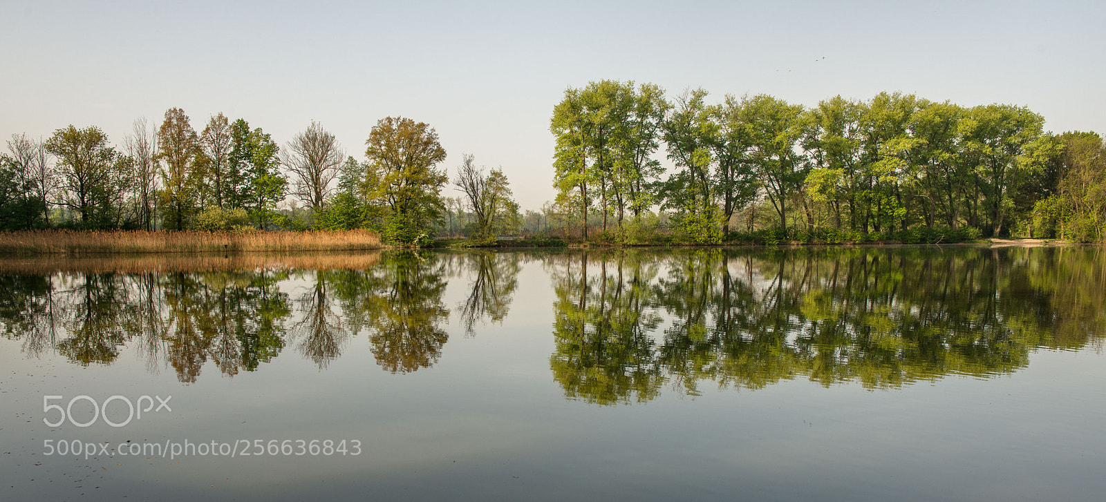 Nikon D800 sample photo. Zrcadlení vi photography