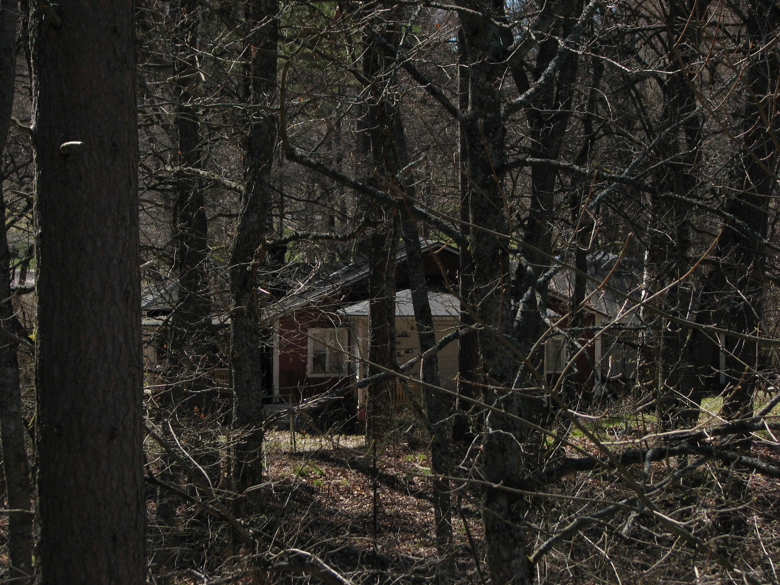 Canon POWERSHOT S3 IS sample photo. Hidden house photography