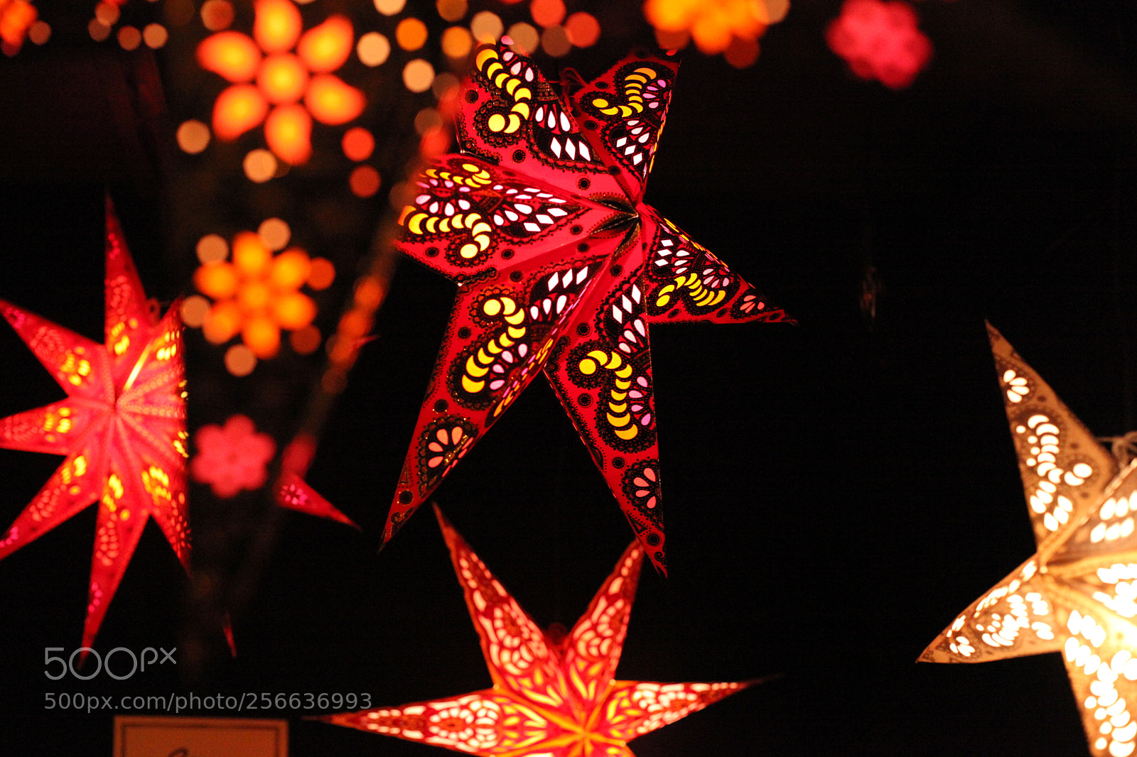 Canon EF 50mm F1.4 USM sample photo. Winter wonderland photography