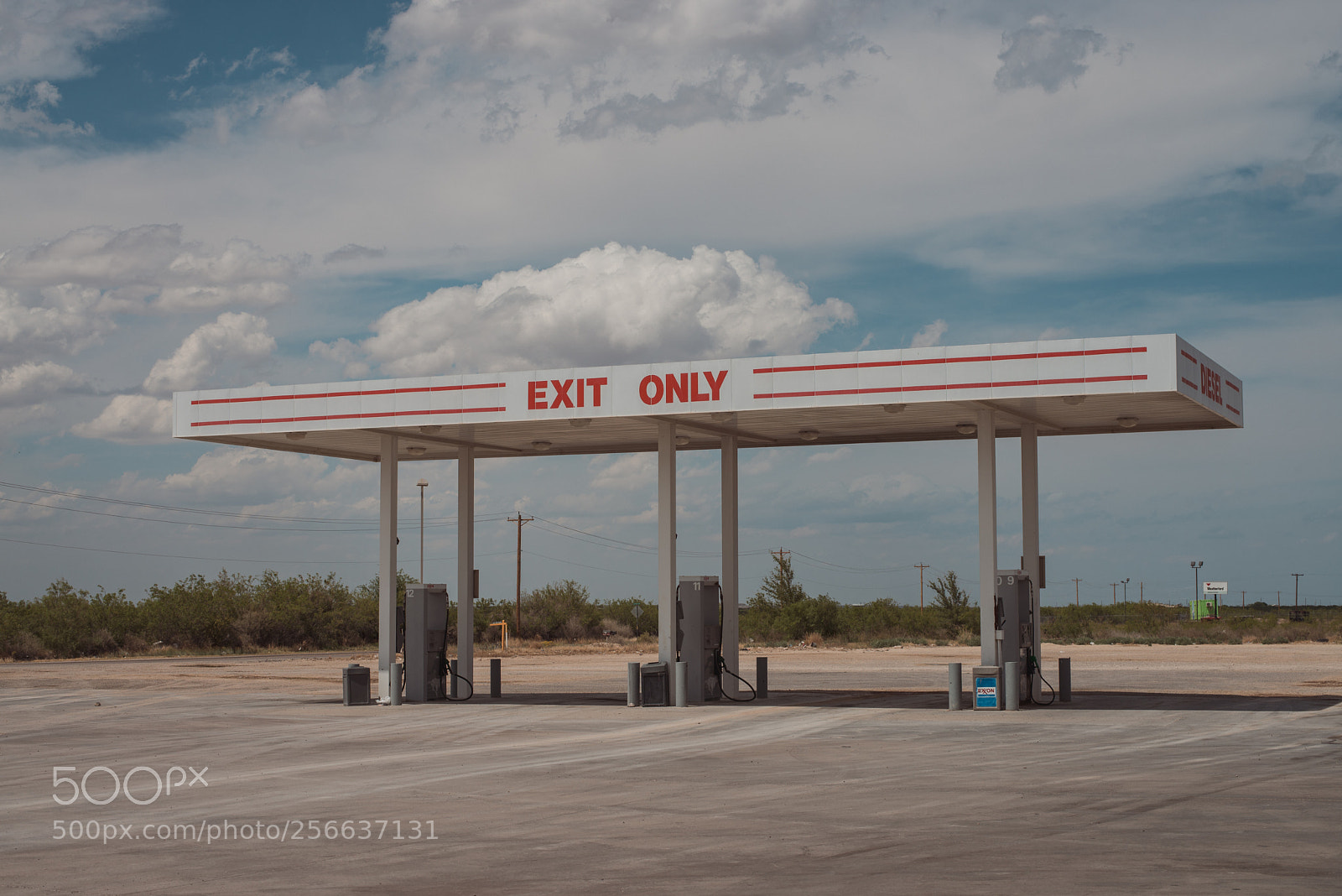 Nikon D600 sample photo. Exit only photography