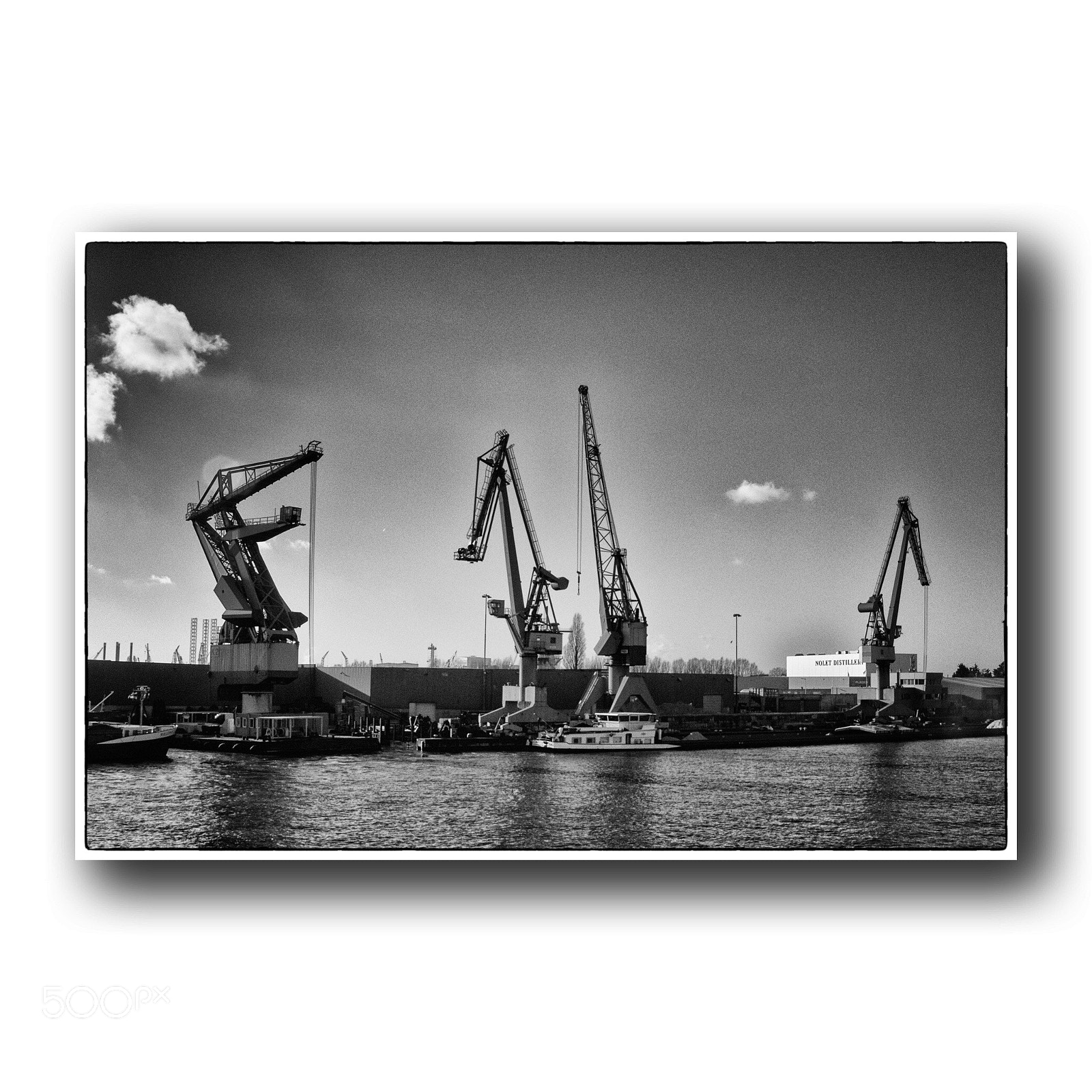 Nikon D5500 sample photo. In the port of photography
