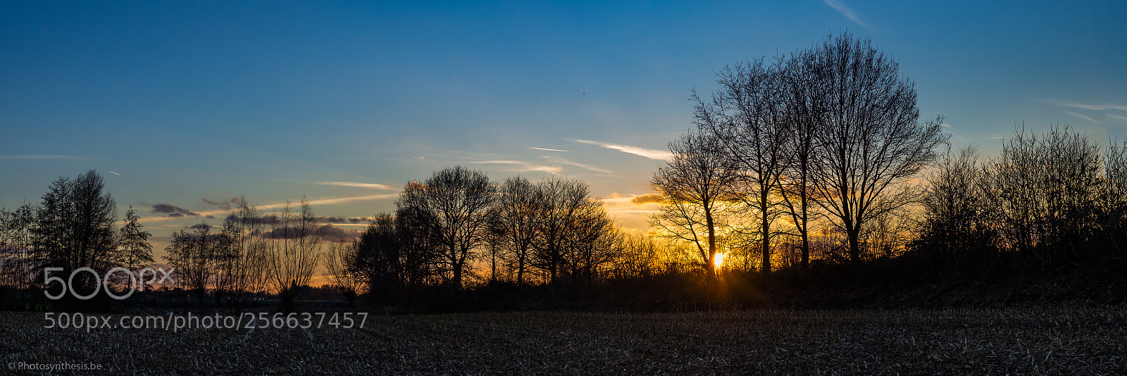 Olympus OM-D E-M10 sample photo. Silhouettes against the setting photography