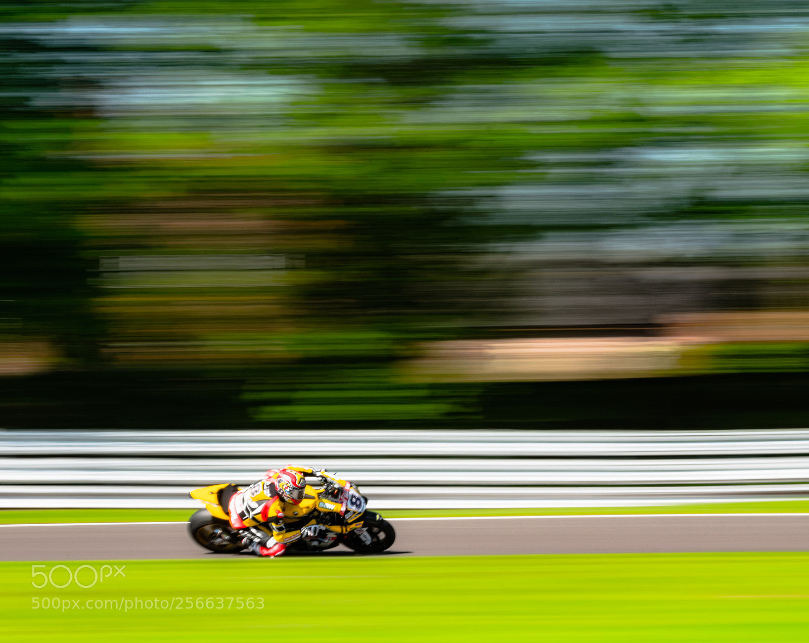 Nikon D5500 sample photo. Yellow blur photography