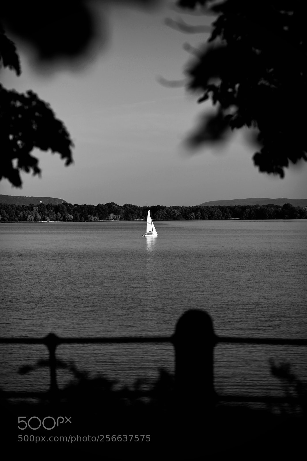 Canon EOS 5D Mark II sample photo. Fullsizeoutput acf photography
