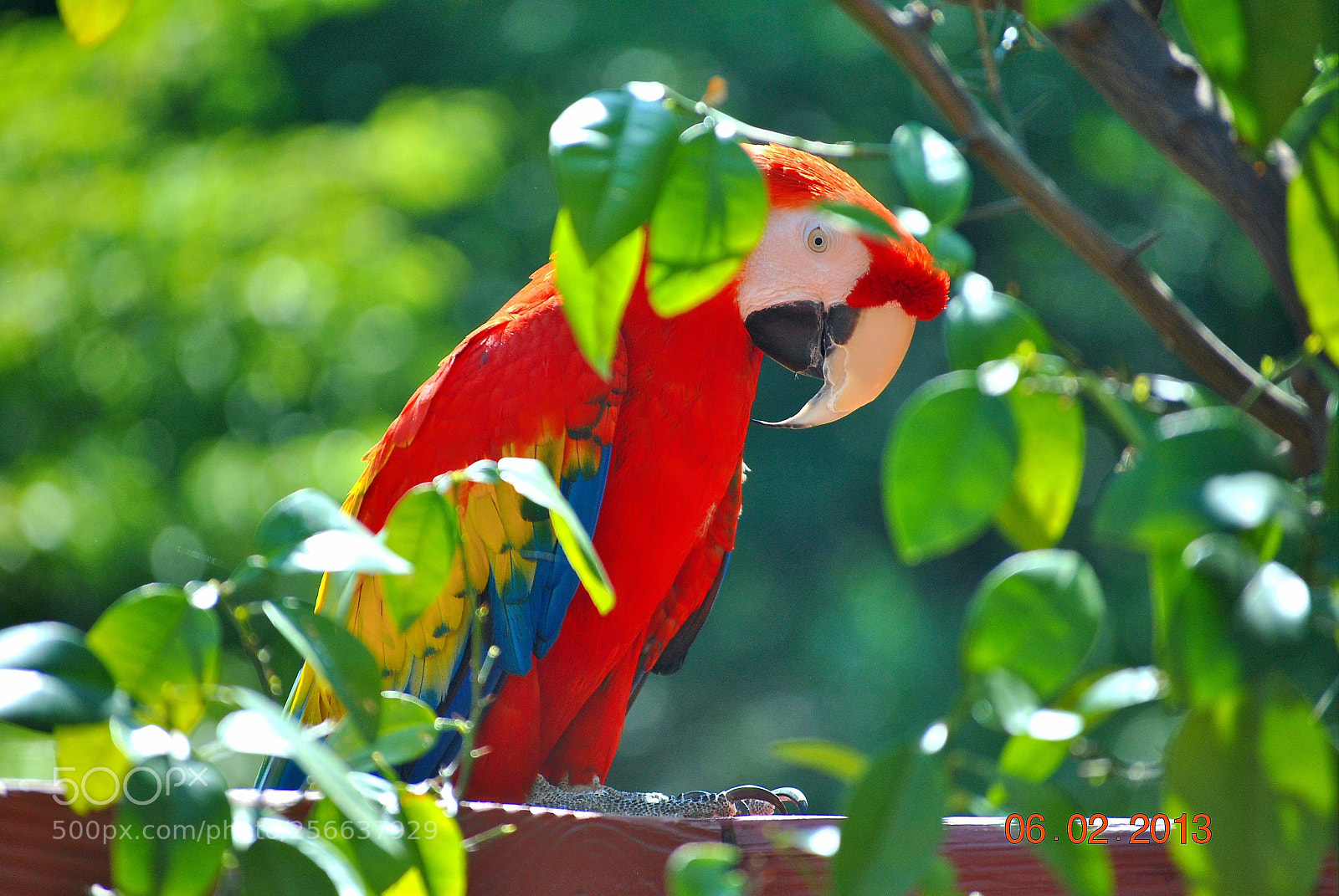 Nikon D3000 sample photo. Untitled photography