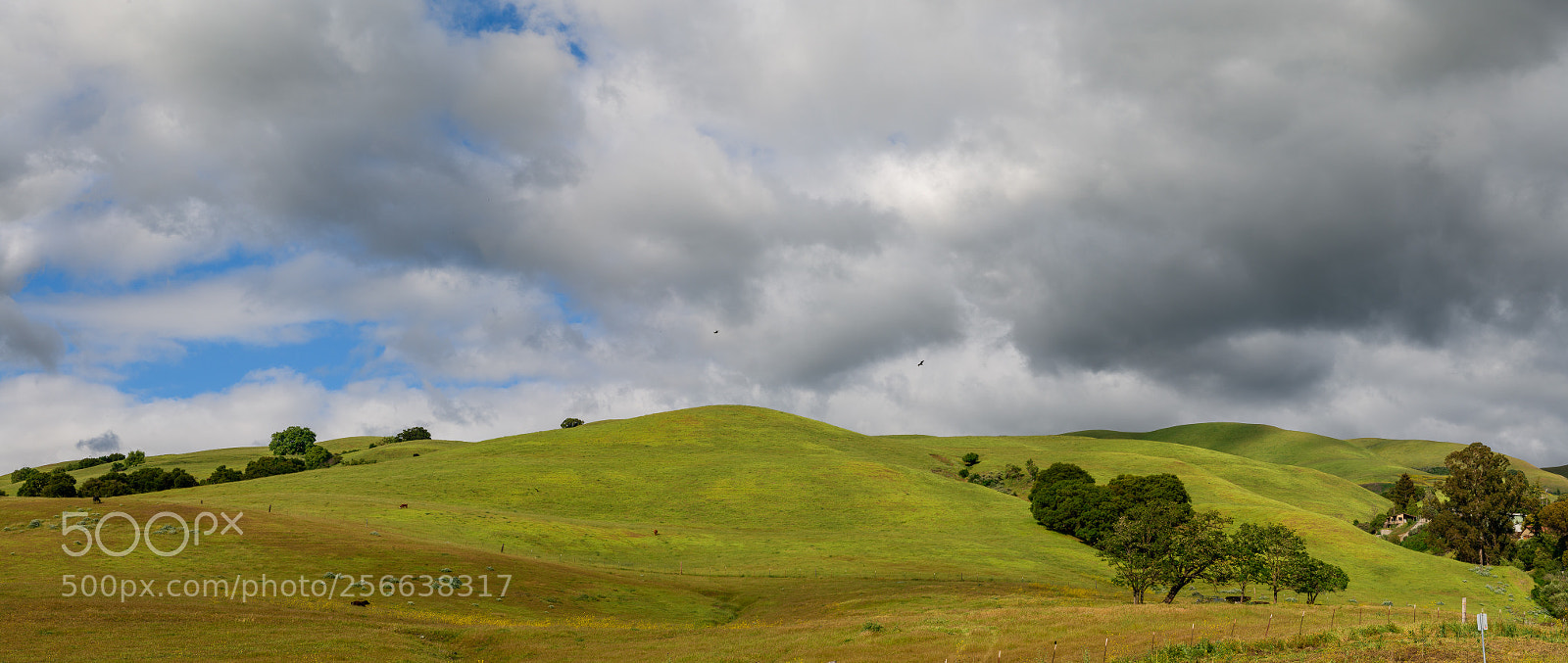 Nikon D850 sample photo. Berryessa, san jose, ca photography