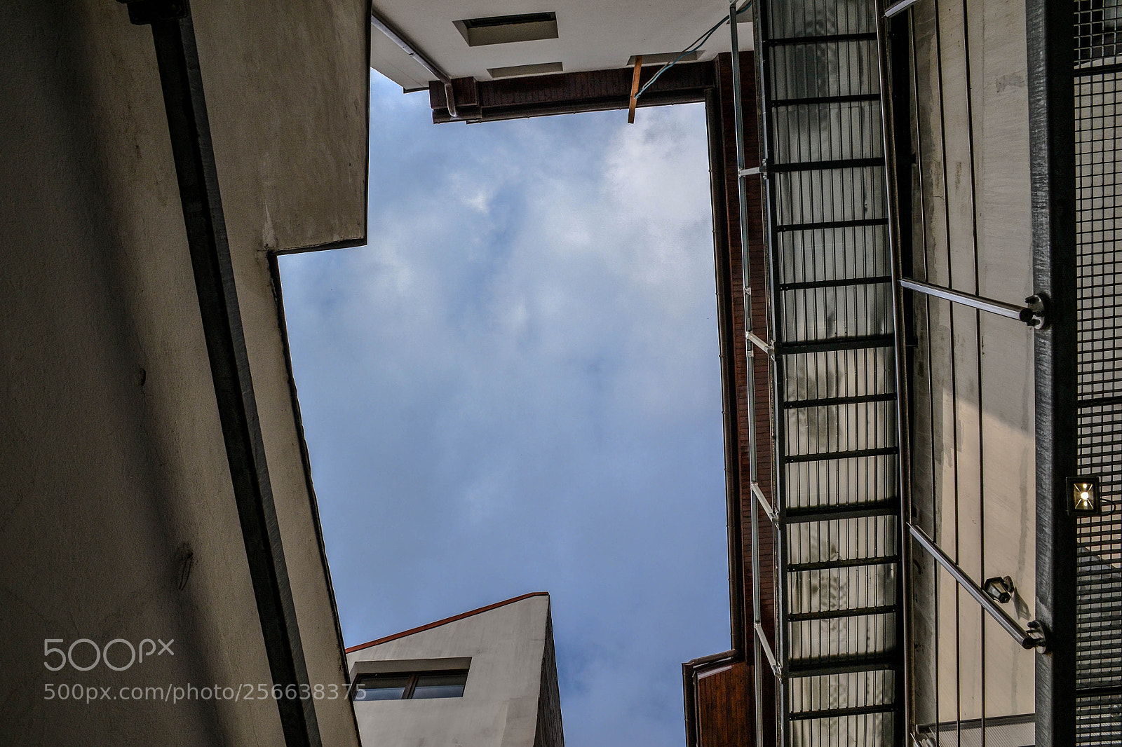 Nikon D3100 sample photo. Look up photography