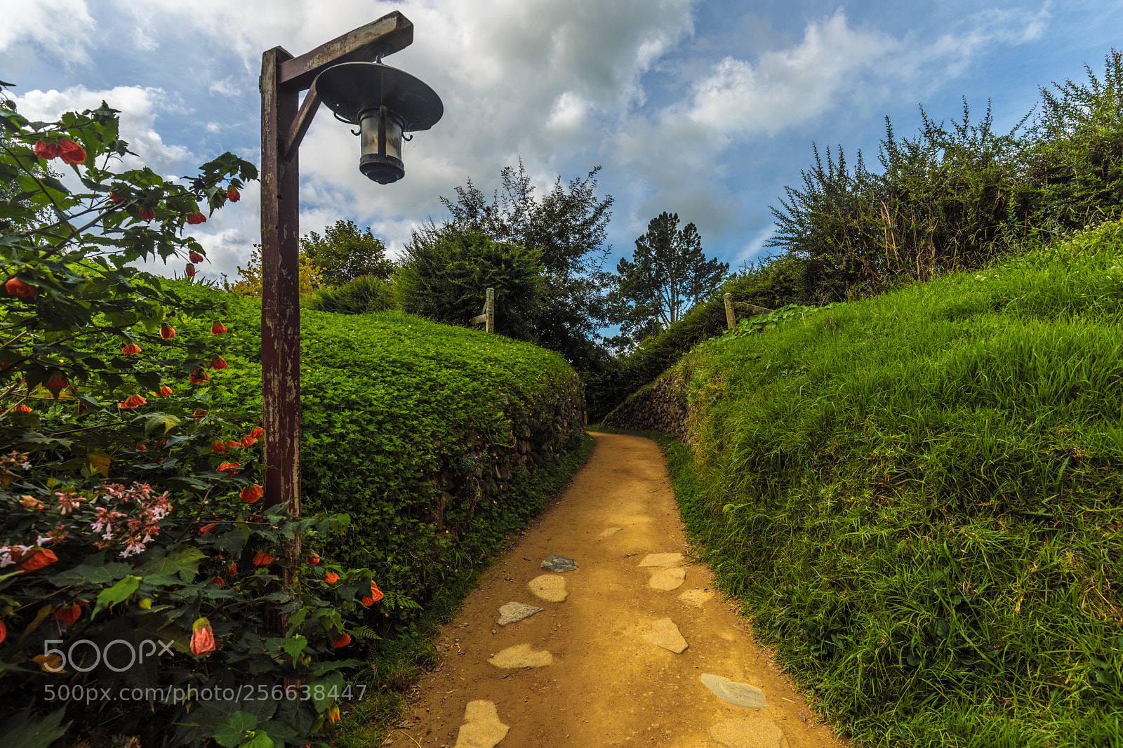 Canon EOS 5D Mark IV sample photo. A hobbits tale photography