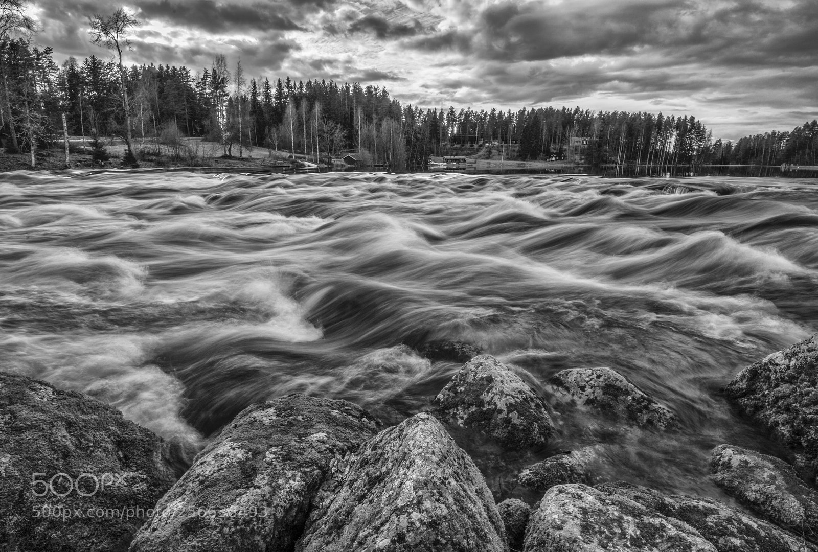 Nikon D7100 sample photo. The movement photography