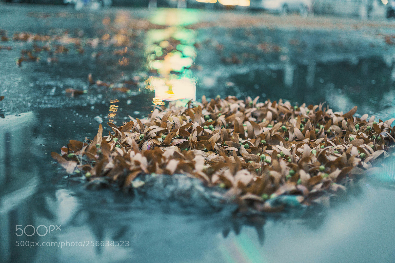 Sony a6000 sample photo. Dsc photography