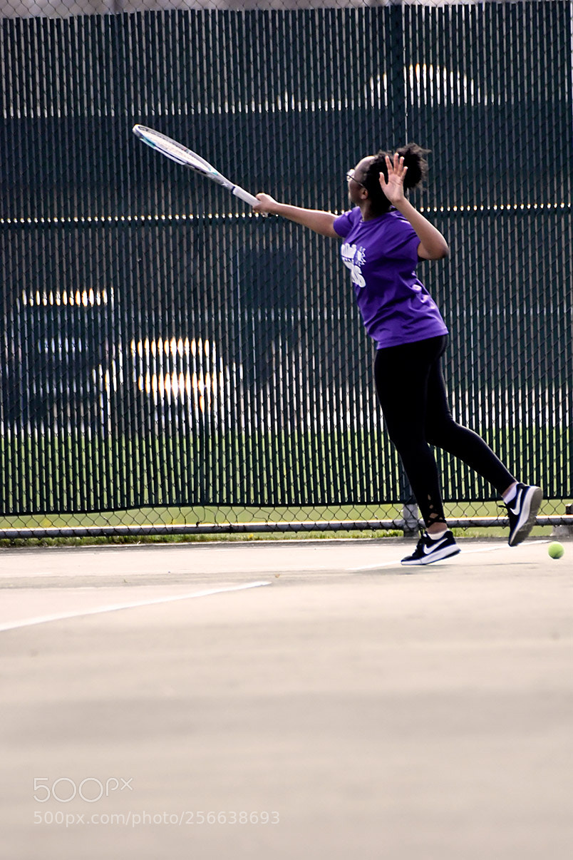 Nikon D500 sample photo. 5-1_0201.jpg photography