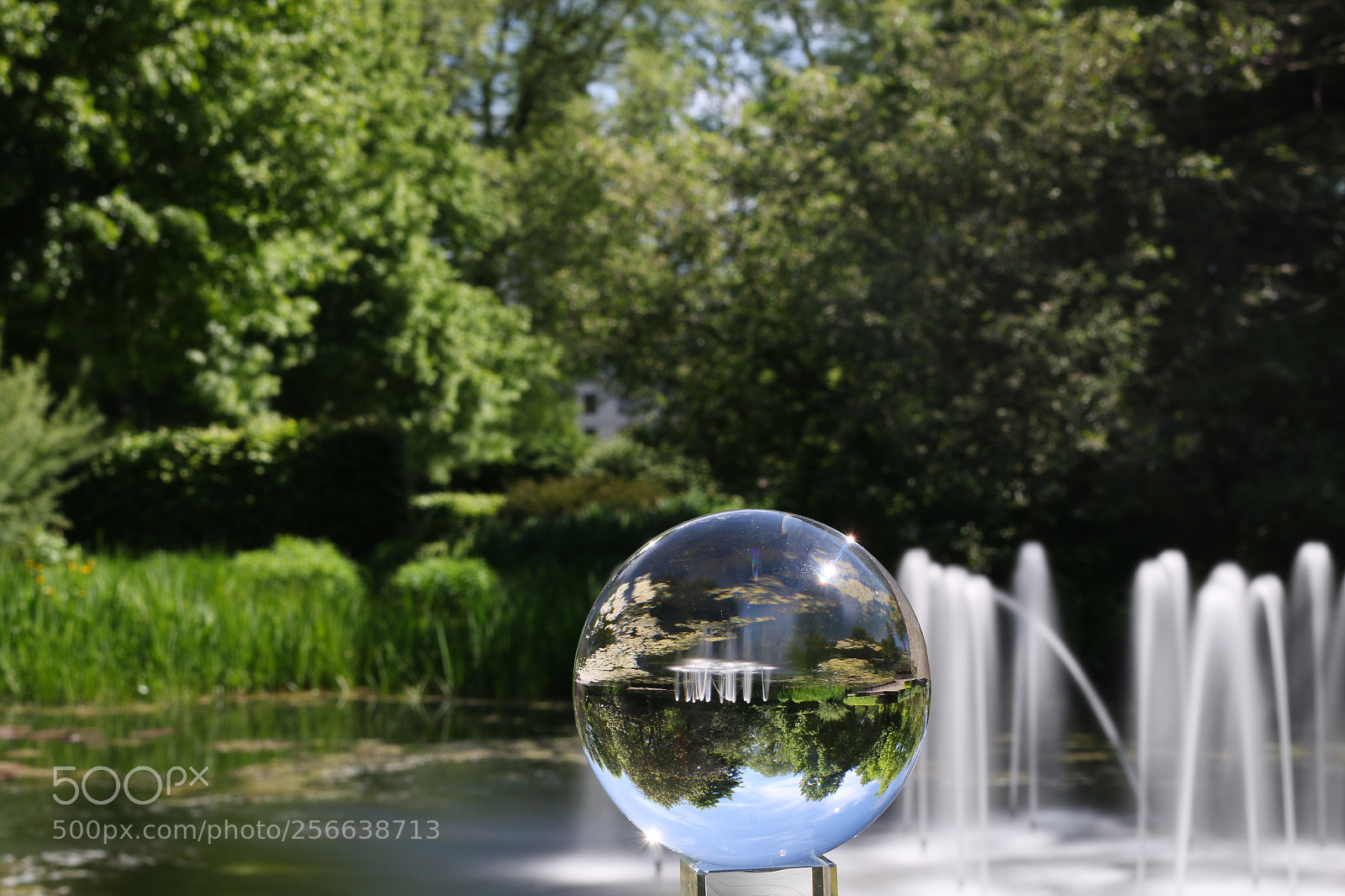Canon EOS 70D sample photo. Springbrunnen müga 4 photography