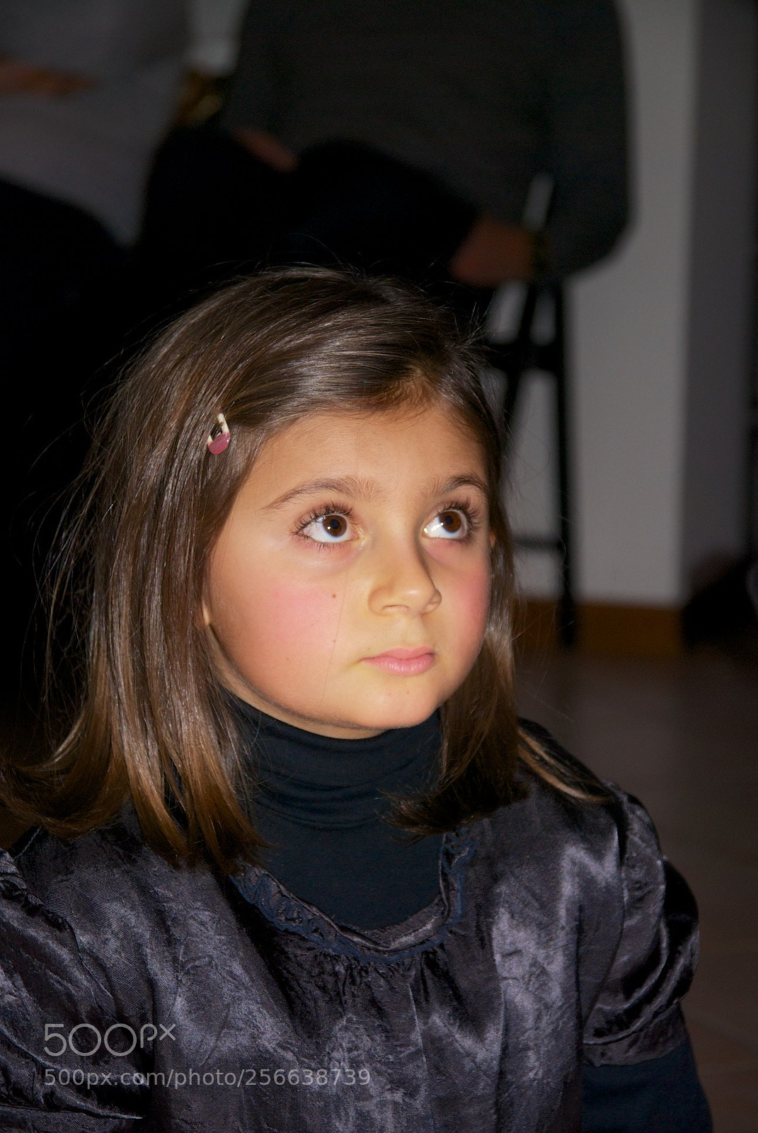 Nikon D60 sample photo. 24-12-2012 photography