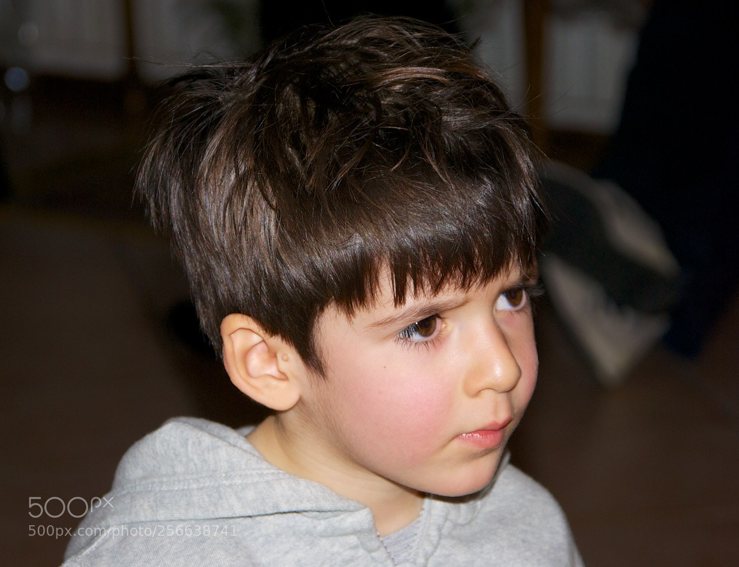 Nikon D60 sample photo. 24-12-2012 photography