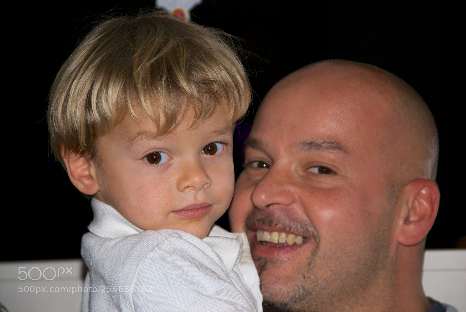 Nikon D60 sample photo. 24-12-2012 photography