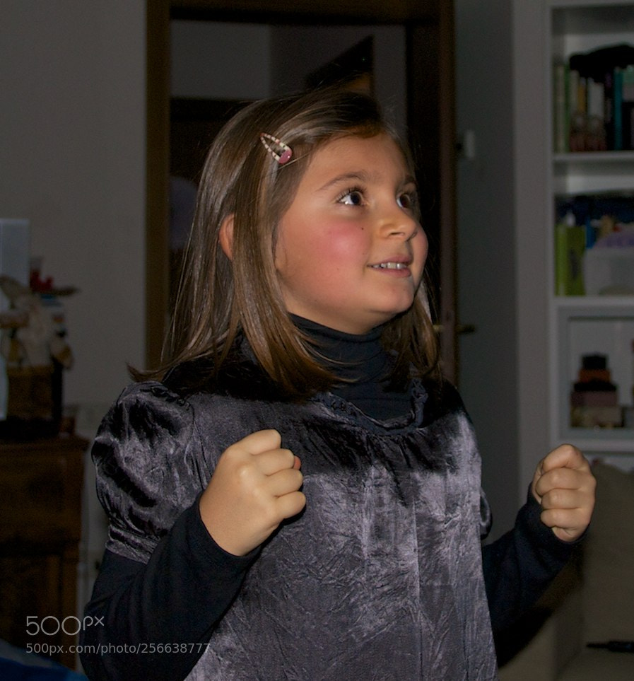 Nikon D60 sample photo. 24-12-2012 photography