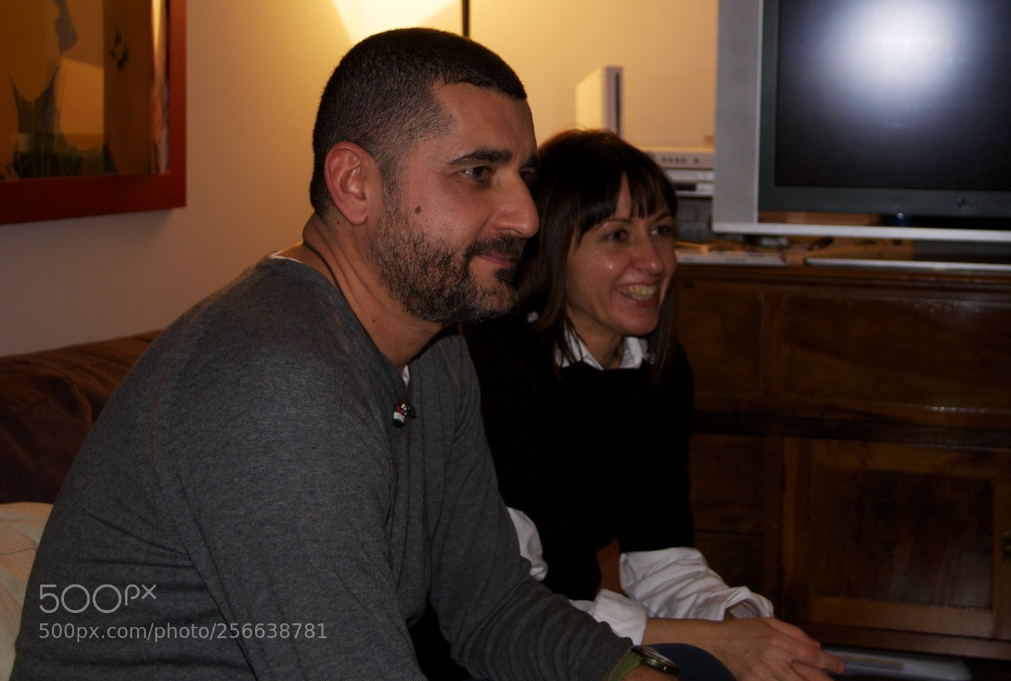 Nikon D60 sample photo. 24-12-2012 photography